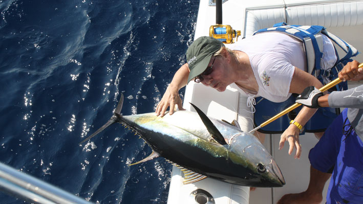 sportfishing-dorado-puerto-vallarta